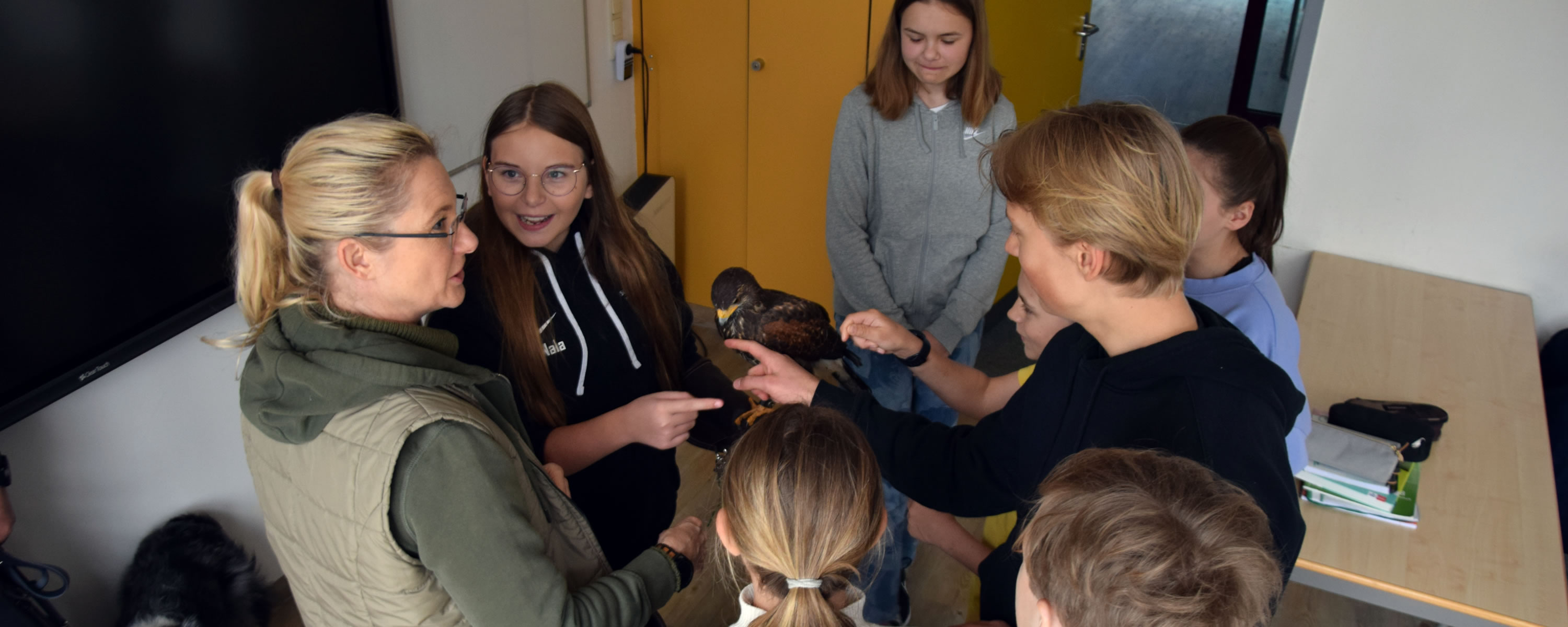 Bussard Biologie Schule