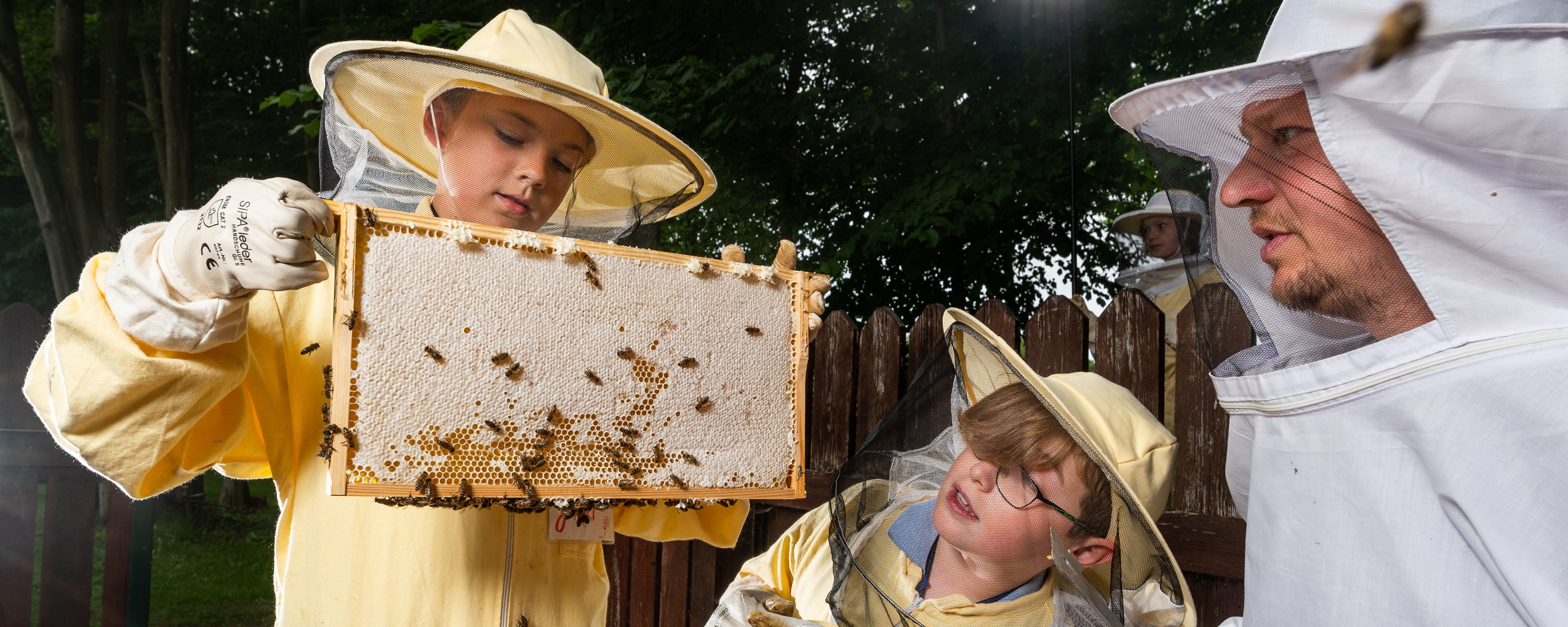 Internat Schloss Torgelow Bienen