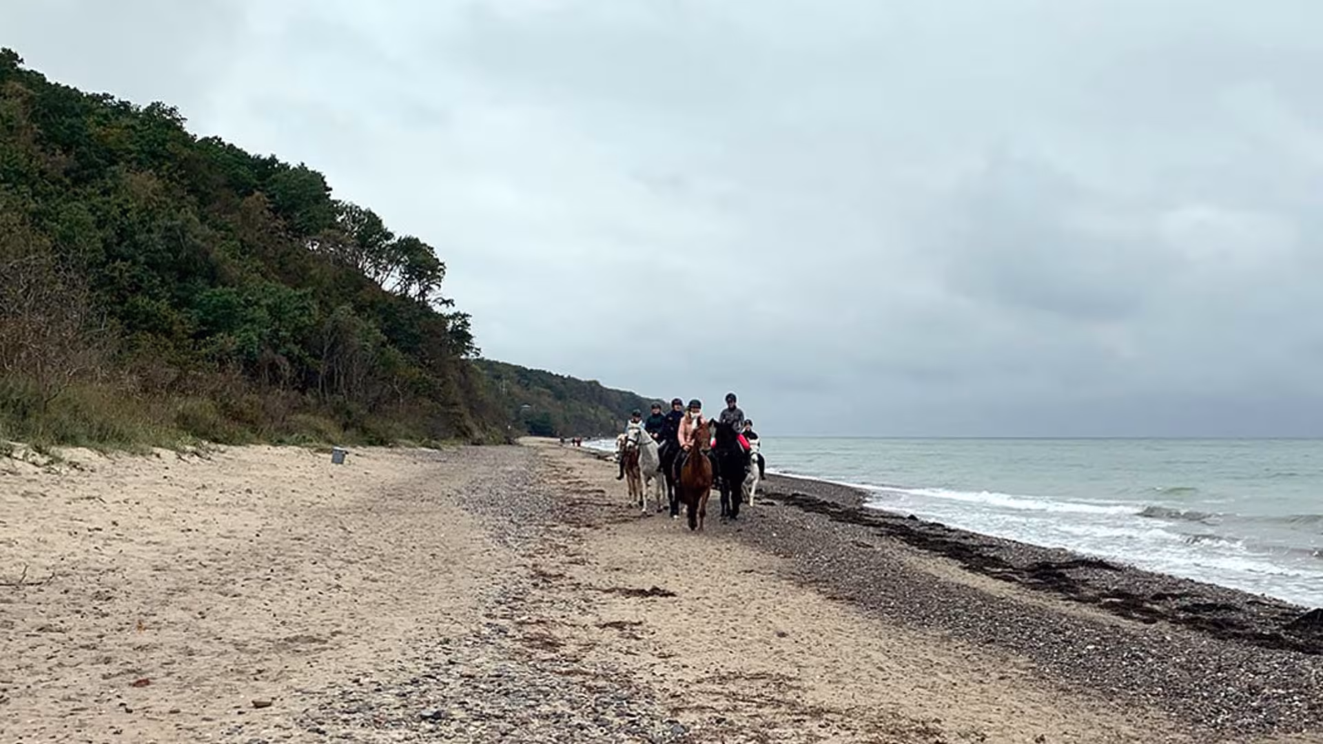 Teamprojekt Reiten an der Küste