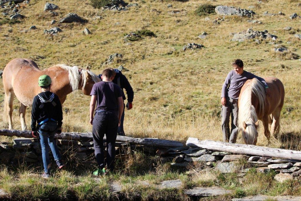 Teamprojekt Outdoor Adventure in Österreich und Slowenien