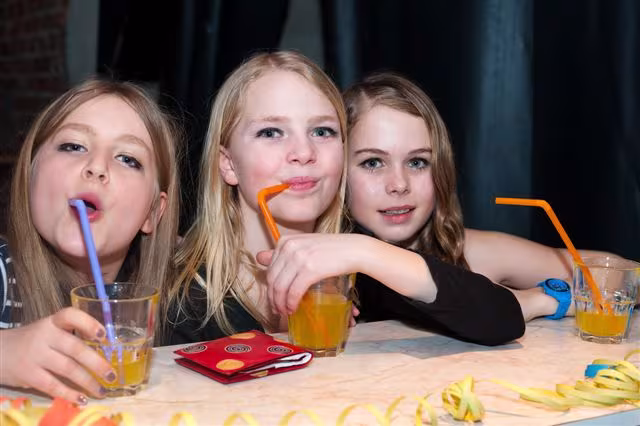 Fasching 2014 im Internat Schloss Torgelow