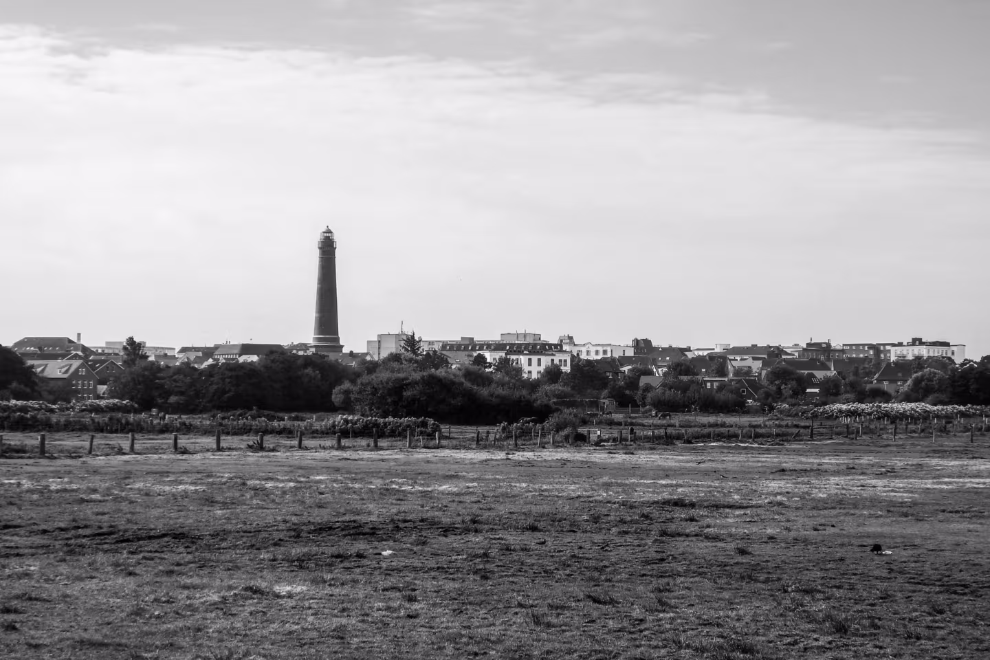 Herbstlicht am Wattenmeer