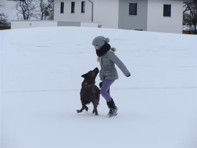 Neubrandenburger Hundestaffel erhält den Schloss Torgelow Vorbild Award