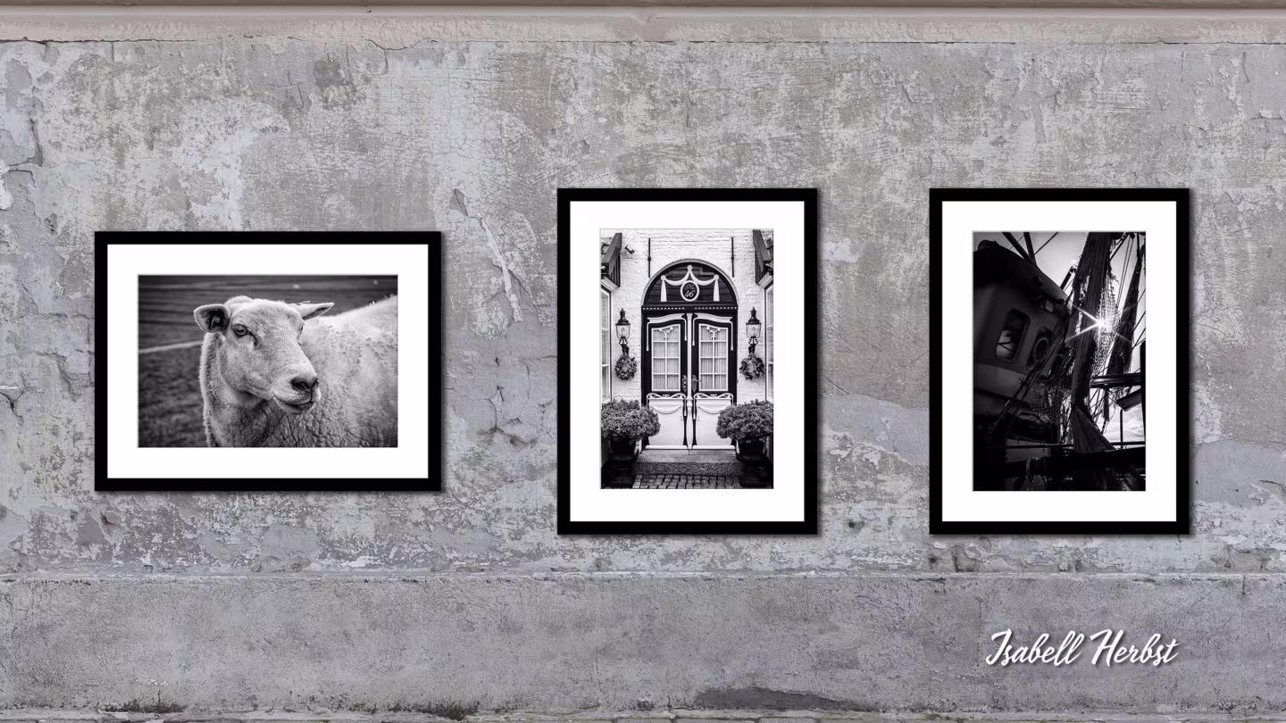 Fotoausstellung Nordstrand des TP Fotografie