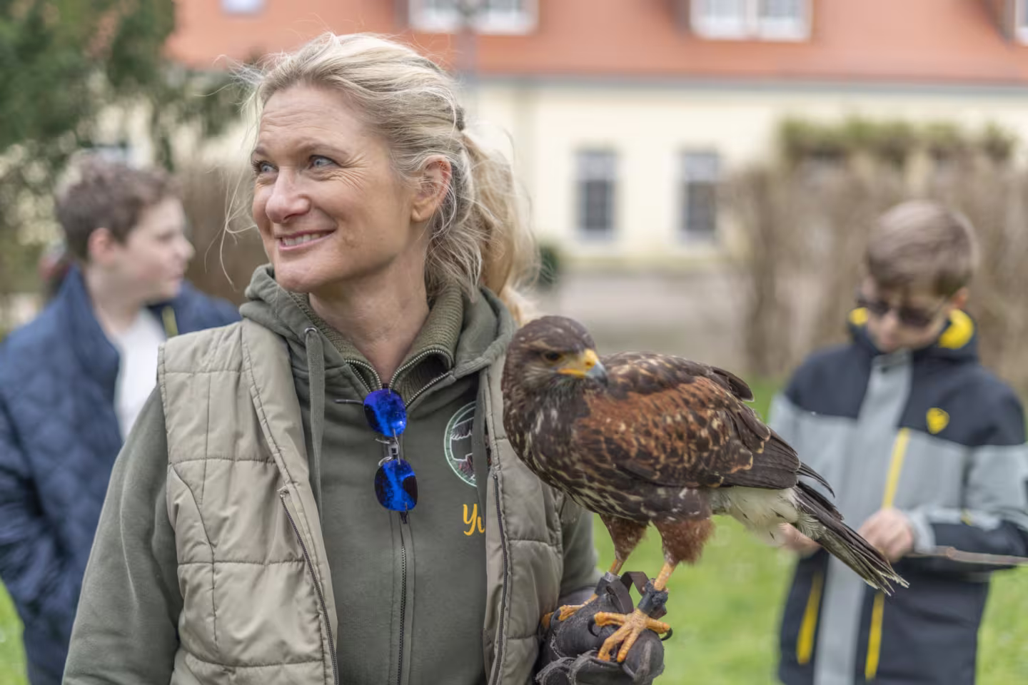Bussard Rufus im Biologieunterricht