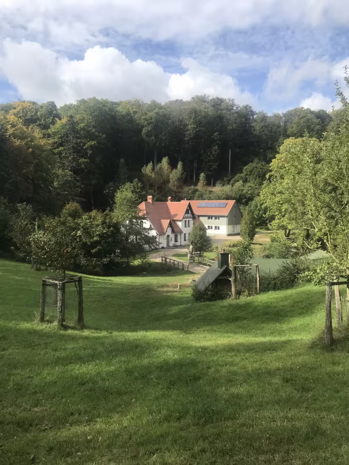 Klassenfahrt in den Müritz-Nationalpark