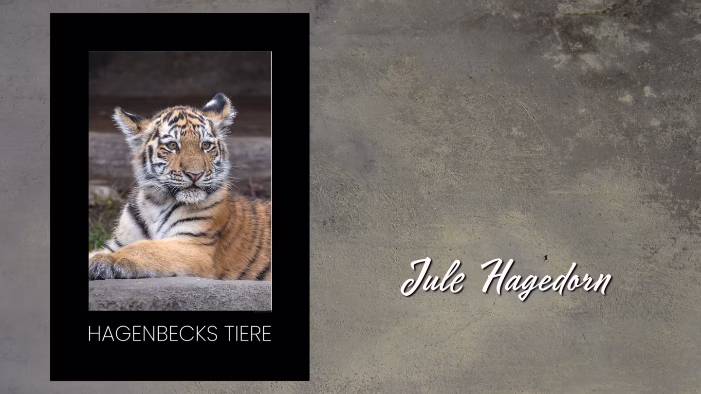 Erfolgreiche Eröffnung der Ausstellung Moin, Hamburg