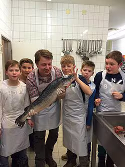 Salmoniden, Cypriniden, Perciden?! Bitte was?