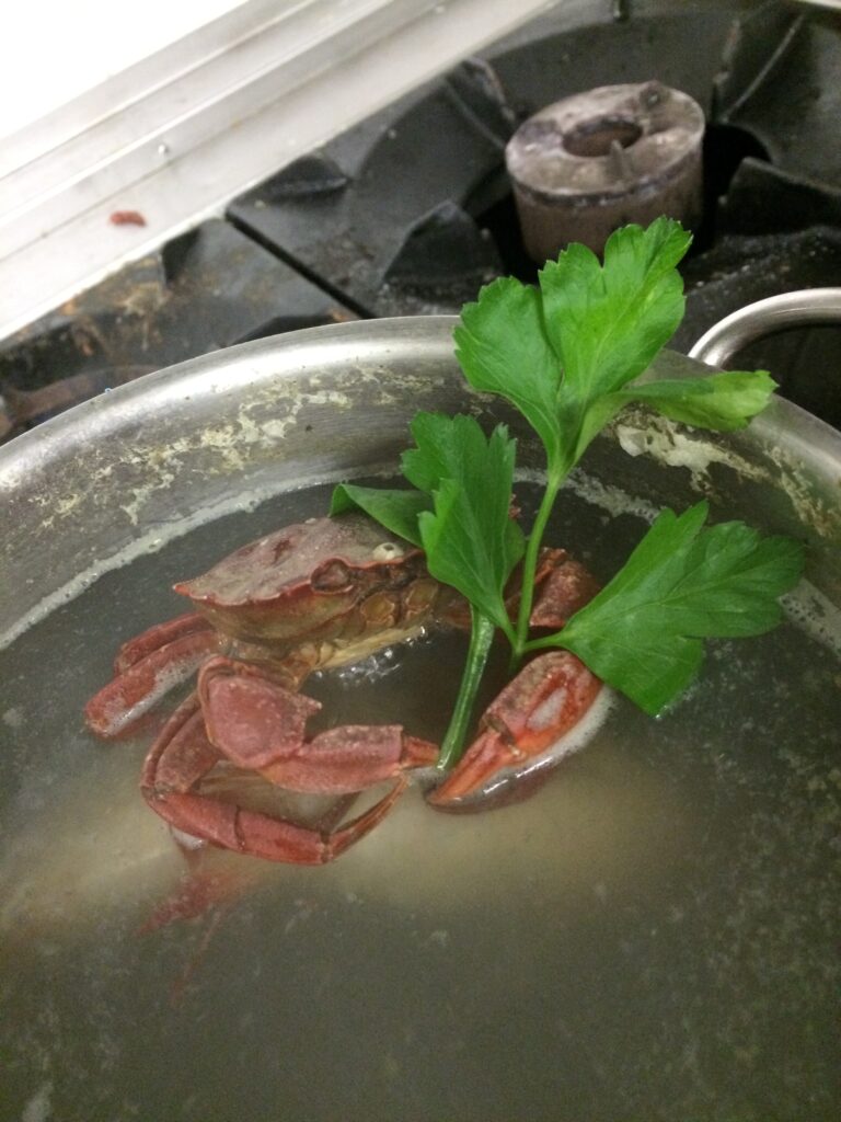 Angelprojekt: Salmoniden, Cypriniden, Perciden?! Bitte was?