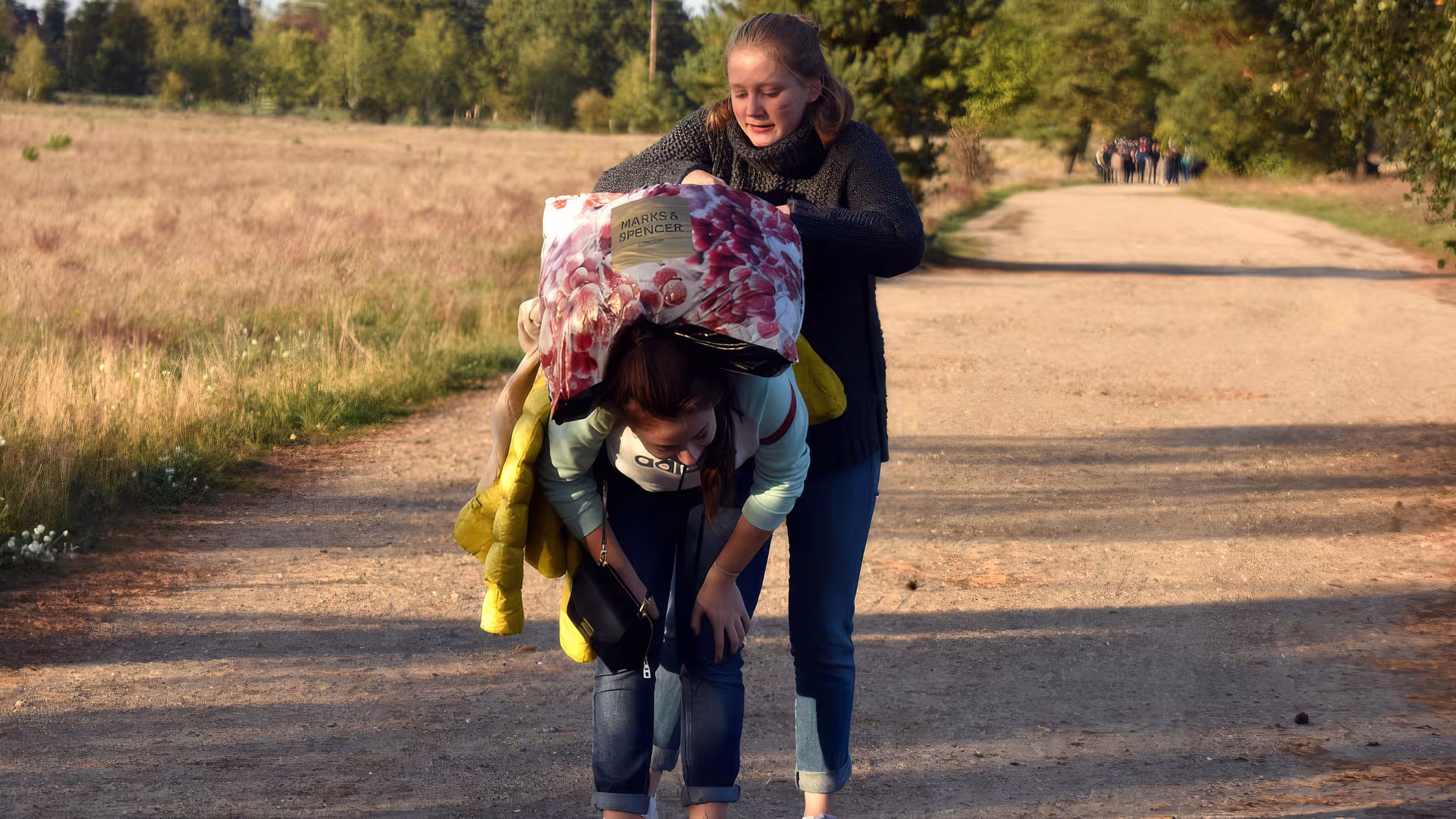 Die faszinierende Welt der Kraniche