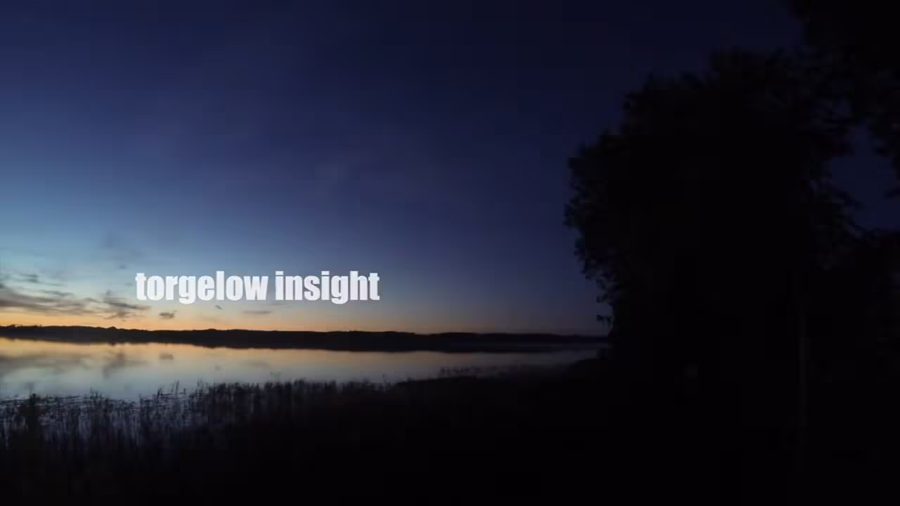 Torgelow insight