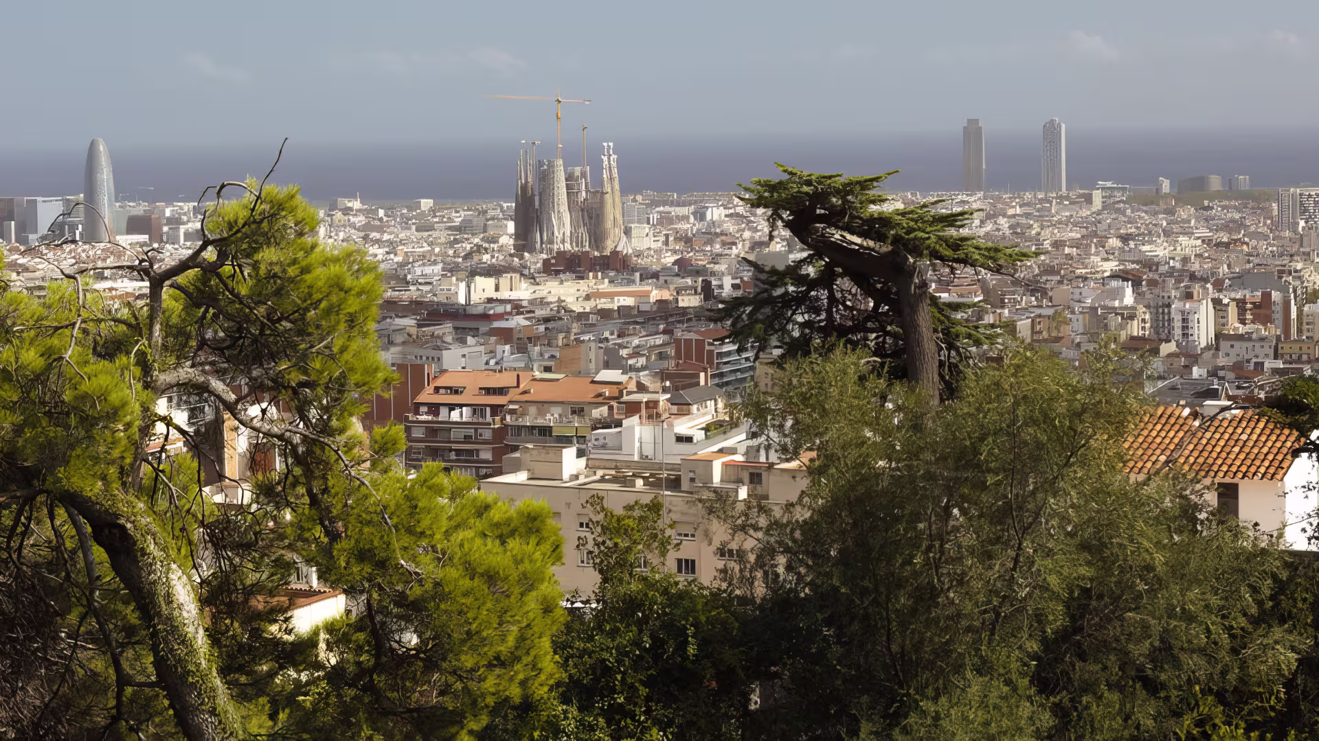 Musikperformance in Barcelona