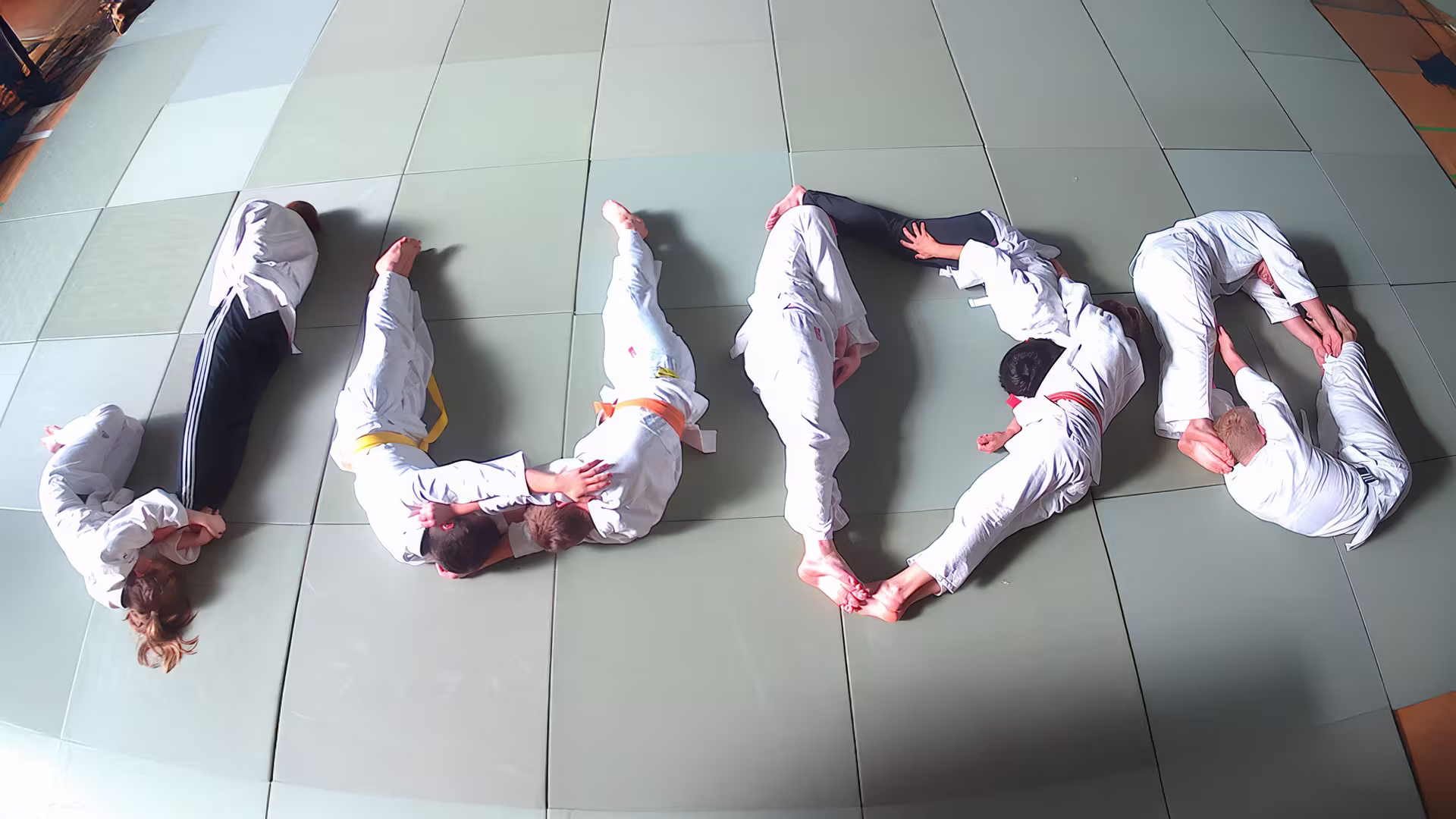 Judo/Ju Jutsu Teamprojekt in Lindow