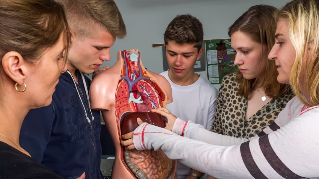 12 Schuljahre bis zum Abitur 12 Schuljahre bis zum Abitur