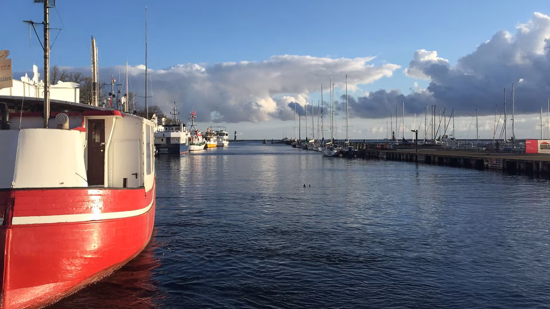 Steinbutt, Dorsch und Wittling – Die Angelsaison beginnt!