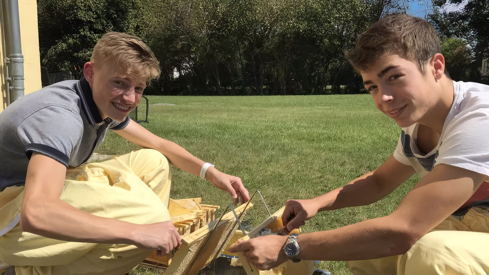 Erster Honig der Schlossbienen