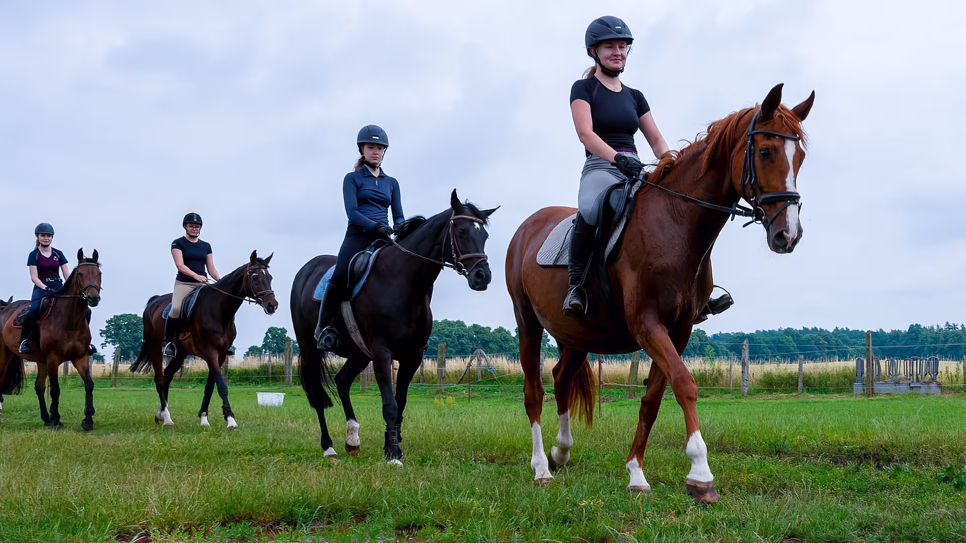 Projekt Reiten