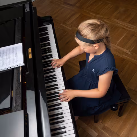 Kultur im Schloss Torgelow: Musik Kultur im Schloss Torgelow: Musik