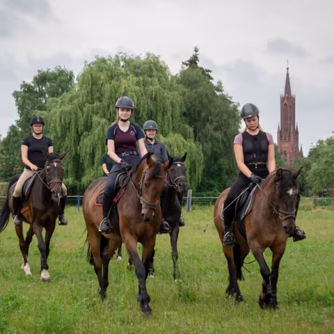 Reiten: Sport im privaten Internatsgymnasium Torgelow am See Reiten: Sport im privaten Internatsgymnasium Torgelow am See