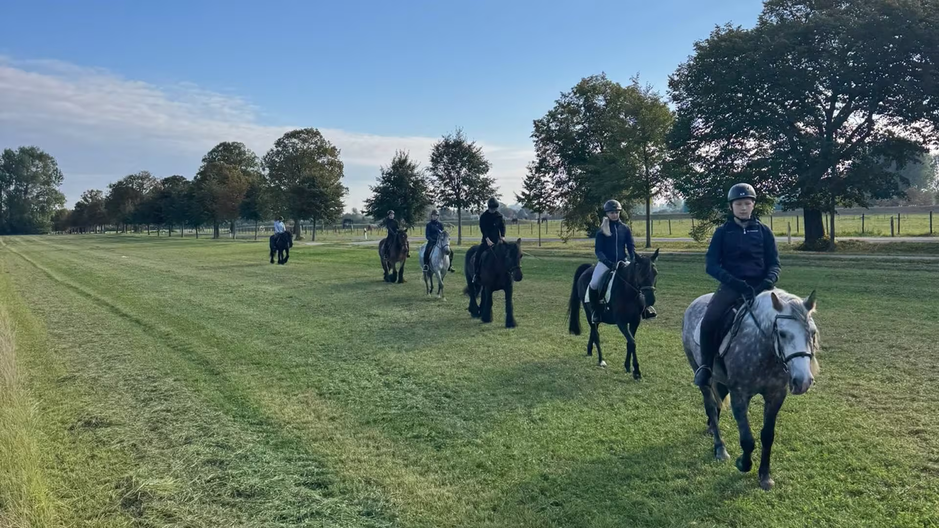 Teamprojekt Reiten 2025 Bild 1
