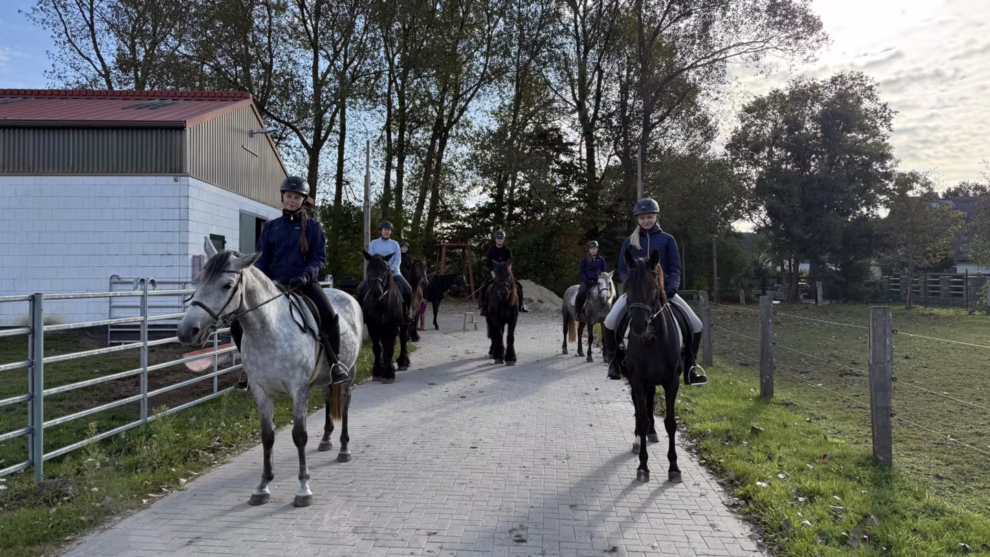 Teamprojekt Reiten 2025 Bild 2