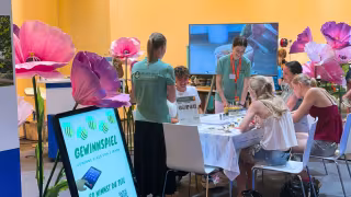 Eco Bee Light Ideen Expo Hannover